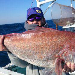 だて丸 釣果