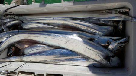 金沢八景鴨下丸 釣果