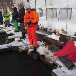 つりぼりあかし 釣果