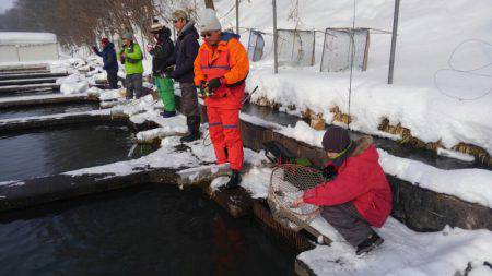 つりぼりあかし 釣果
