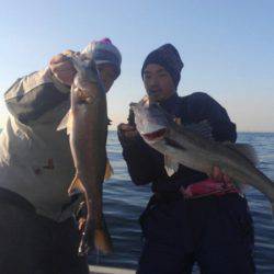 THESEAMAN(ザシーマン) 釣果