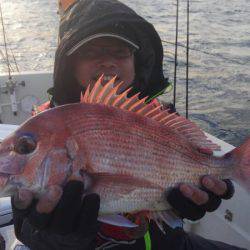 THESEAMAN(ザシーマン) 釣果