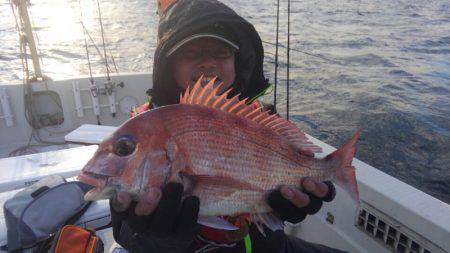 THESEAMAN(ザシーマン) 釣果