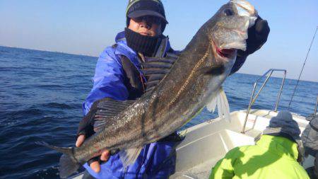 THESEAMAN(ザシーマン) 釣果