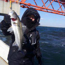 THESEAMAN(ザシーマン) 釣果