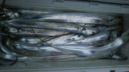 サンマリン 釣果