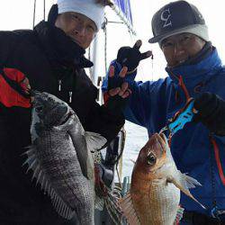 タイラバ遊漁船 ワンピース 釣果