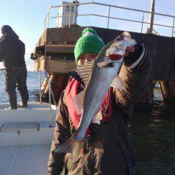 ＴＨＥＳＥＡＭＡＮ（ザシーマン） 釣果