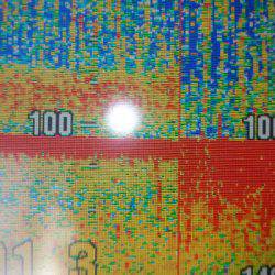 サンマリン 釣果