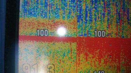 サンマリン 釣果