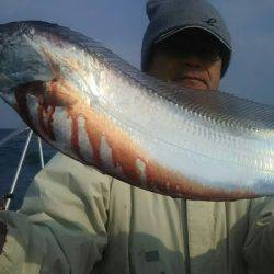 サンマリン 釣果