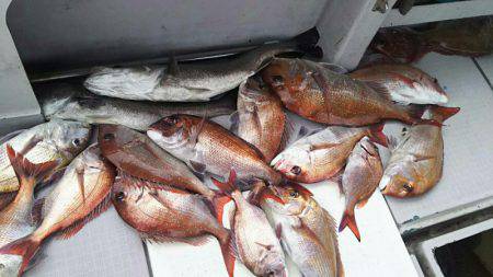 タイラバ遊漁船 ワンピース 釣果