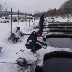 つりぼりあかし 釣果