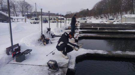 つりぼりあかし 釣果