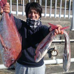 だて丸 釣果