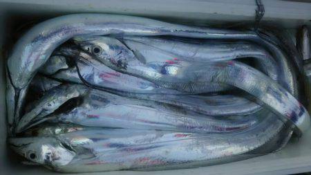 サンマリン 釣果