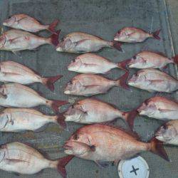 FISHING RISKY 釣果