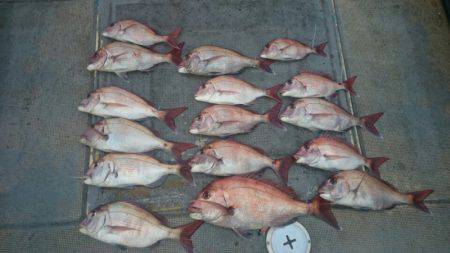 FISHING RISKY 釣果