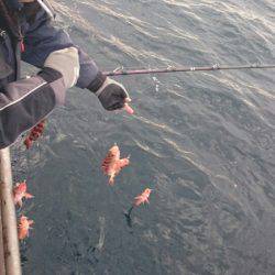 海龍丸（石川） 釣果