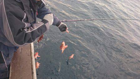 海龍丸（石川） 釣果