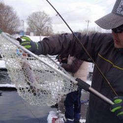 つりぼりあかし 釣果