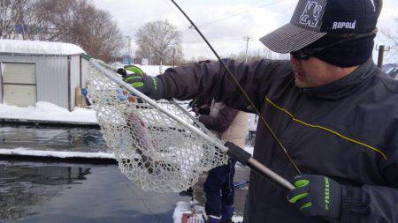 つりぼりあかし 釣果