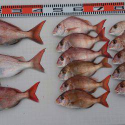 遊漁船 家入 釣果