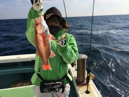 丸万釣船 釣果