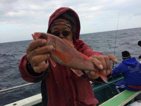 丸万釣船 釣果