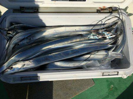 金沢八景鴨下丸 釣果