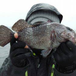 天祐丸 釣果