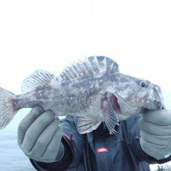 天祐丸 釣果