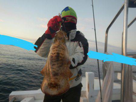 きずなまりん 釣果