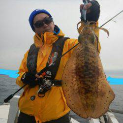 きずなまりん 釣果