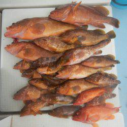 きずなまりん 釣果