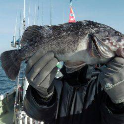天祐丸 釣果