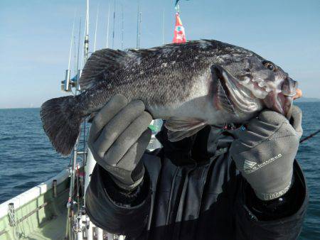 天祐丸 釣果