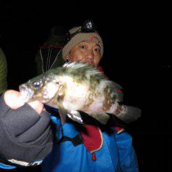 Chase（チェイス） 釣果