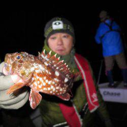 Chase（チェイス） 釣果