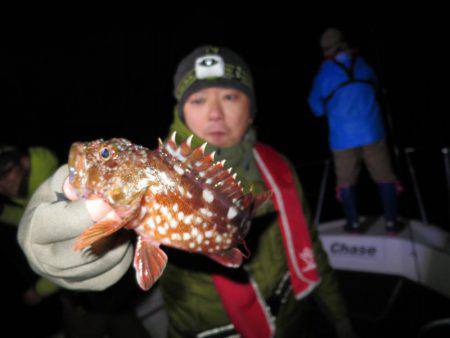 Chase（チェイス） 釣果