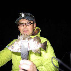 Chase（チェイス） 釣果