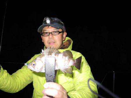 Chase（チェイス） 釣果