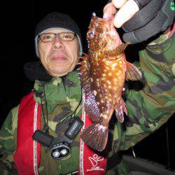 Chase（チェイス） 釣果