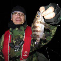 Chase（チェイス） 釣果