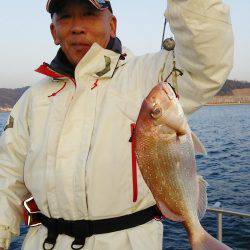 マリンガイド福丸 釣果