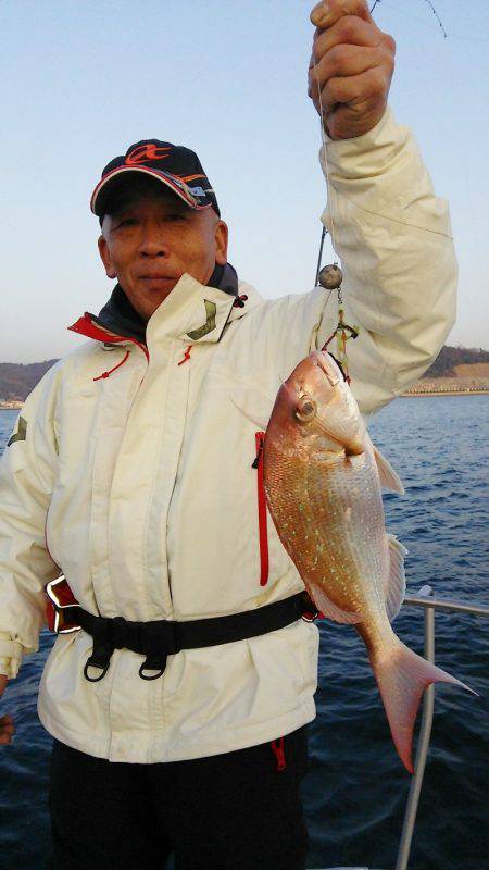 マリンガイド福丸 釣果