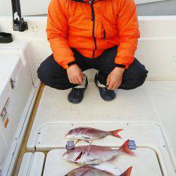 マリンガイド福丸 釣果