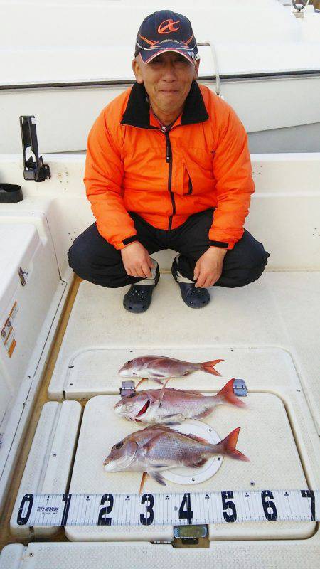 マリンガイド福丸 釣果