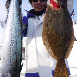 JDI Racing シールズマリンレジャー 釣果