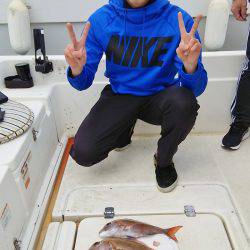 マリンガイド福丸 釣果